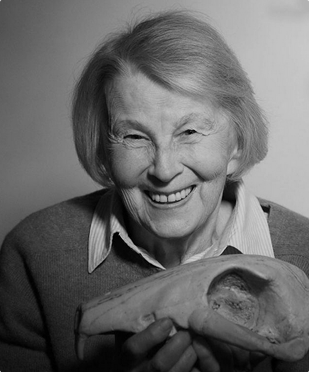 Maria Kowalewska